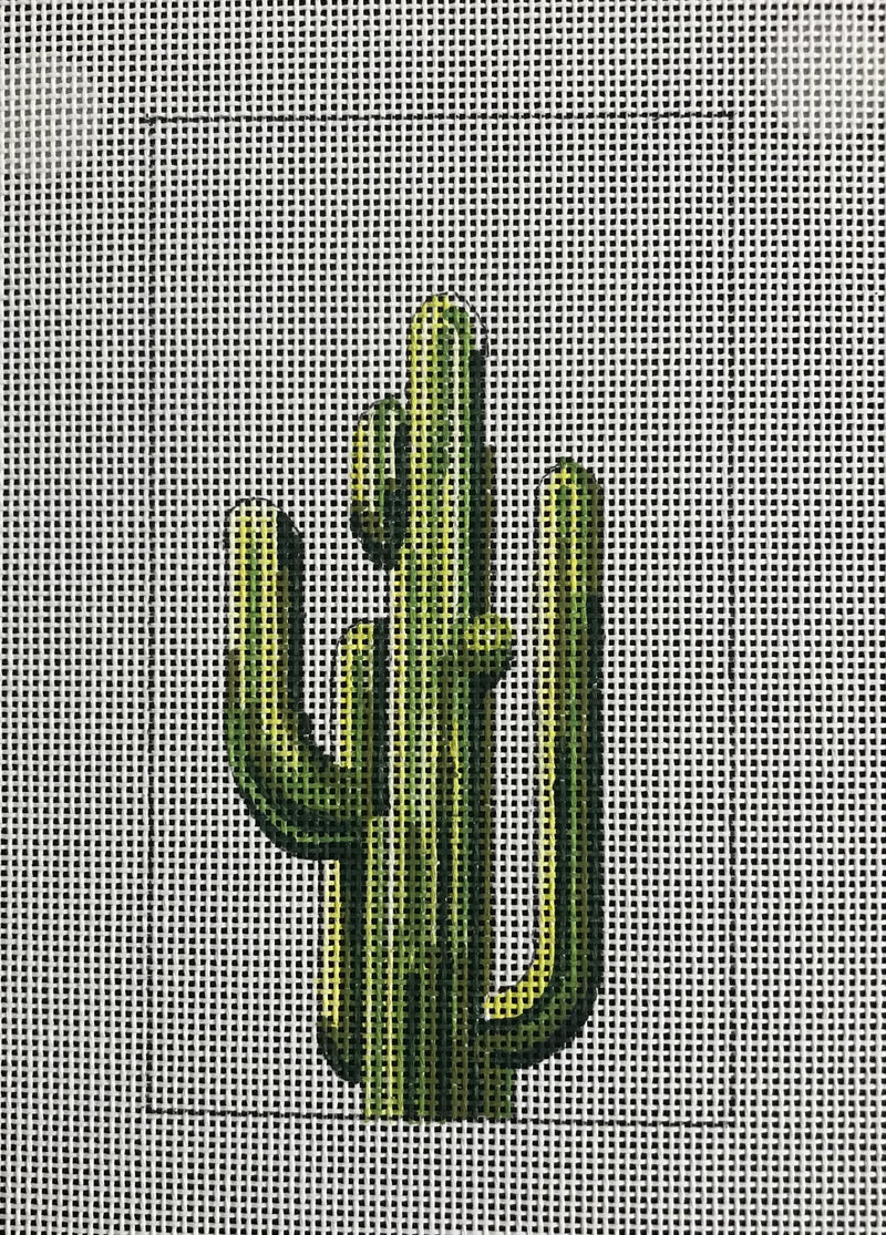 Eyeglass Case - Cactus