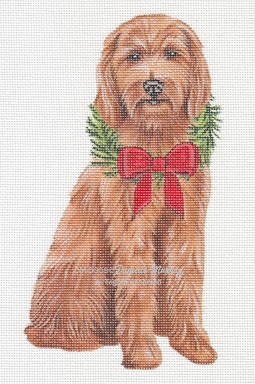 Dog: Holiday Goldendoodle standup