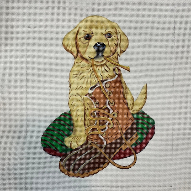 Golden Retriever Puppy w/ Bean Boot (Kathy Goff)