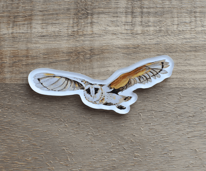 Flying Barn Owl Needleminder