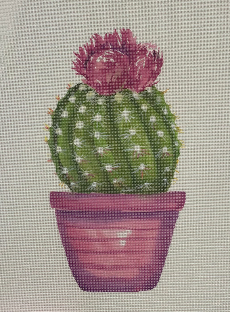 Purple Cactus