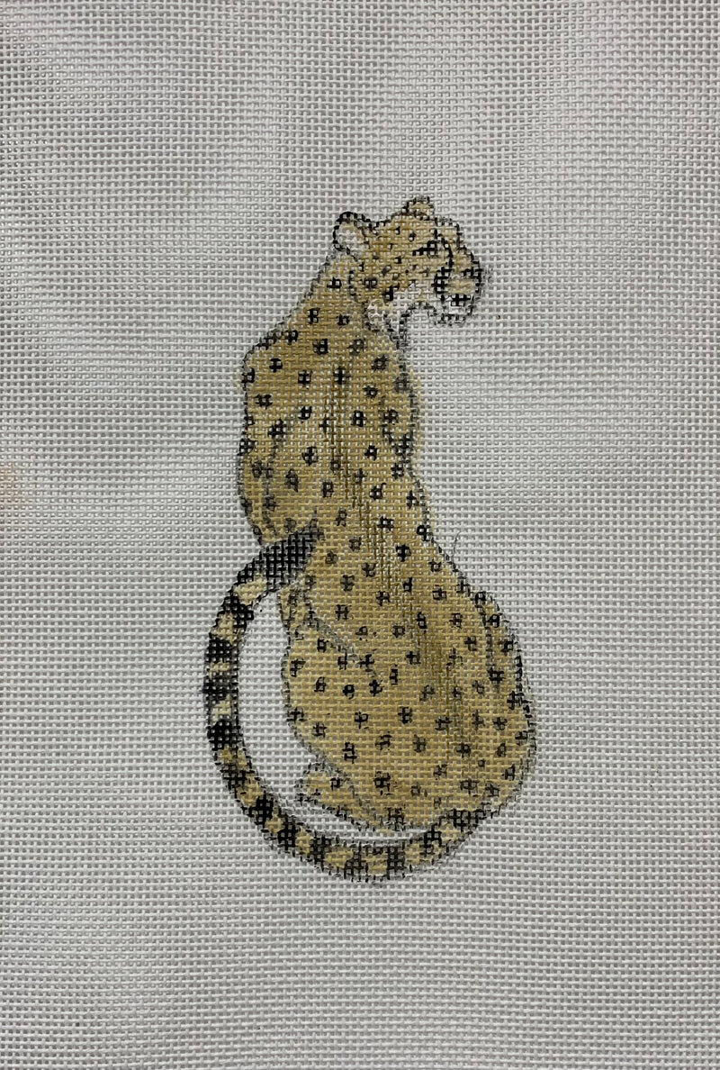 Cheetah Spotted Alone