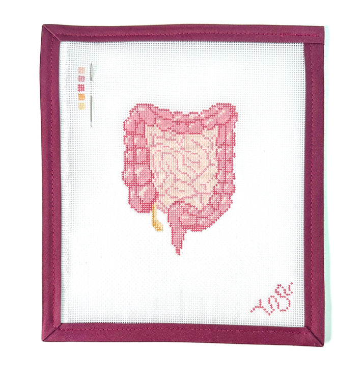 Digestive Tract