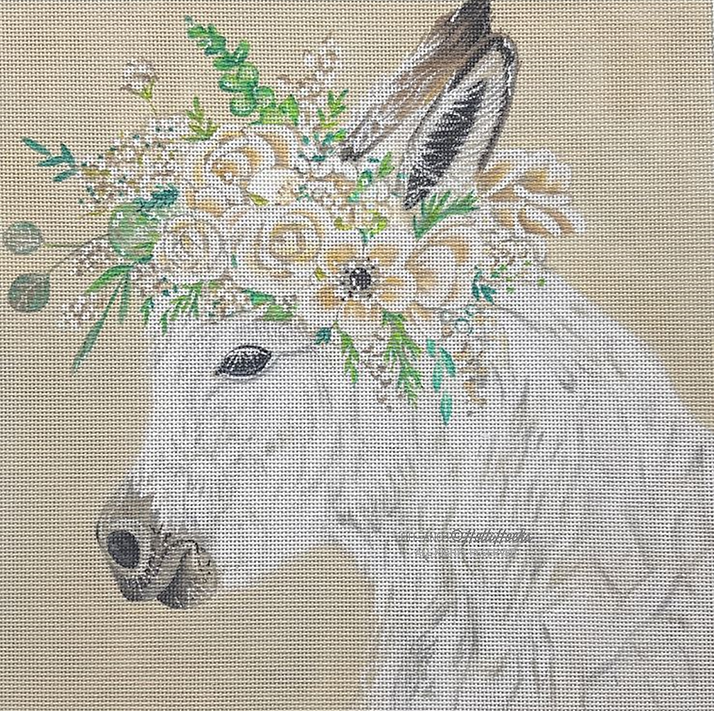 Animals: Hope the Donkey