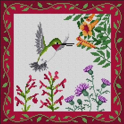 Hummingbirds At Trumpet Vine