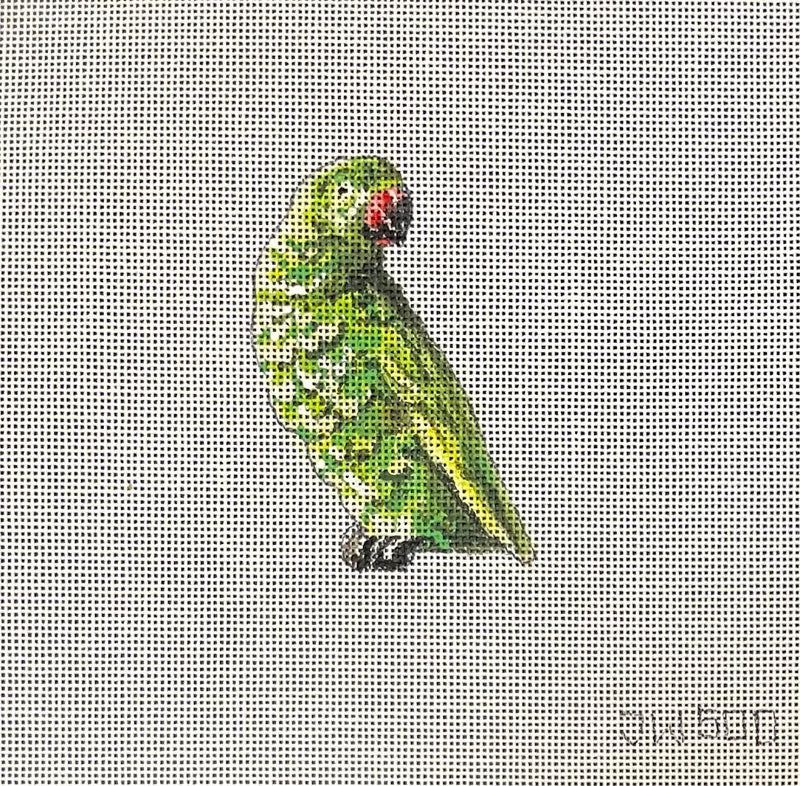 Parrot Patch