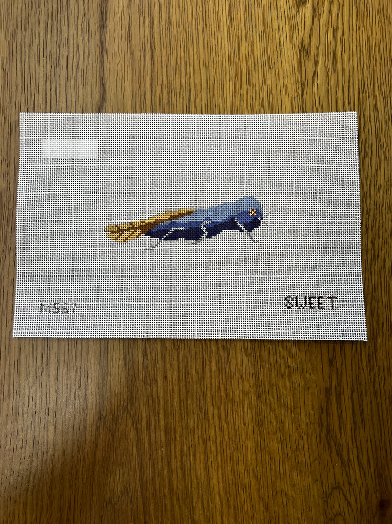 Maddie Sweet ·  Blue Bug