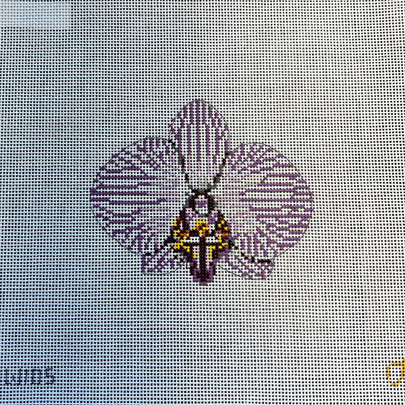 Kate Woodward ·  Single Purple Striped Orchid