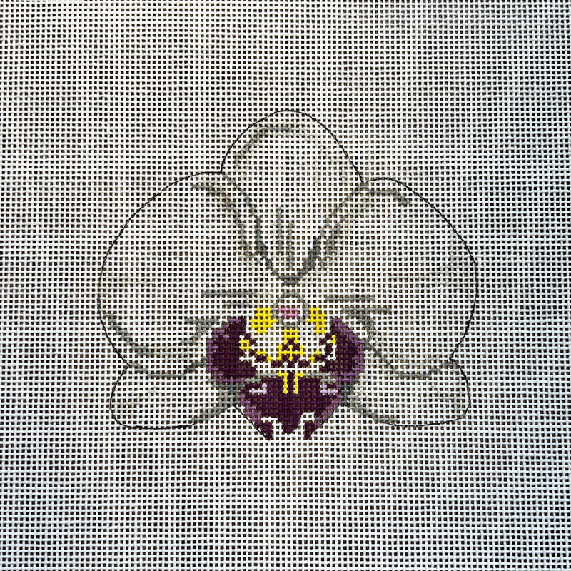 Kate Woodward ·  Single White Orchid