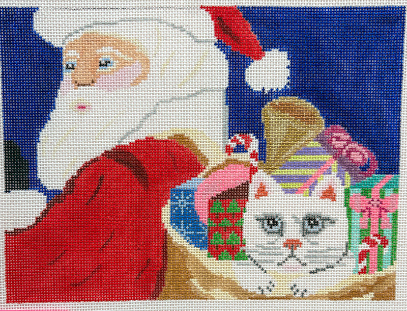 Santa w Cat  (18m)