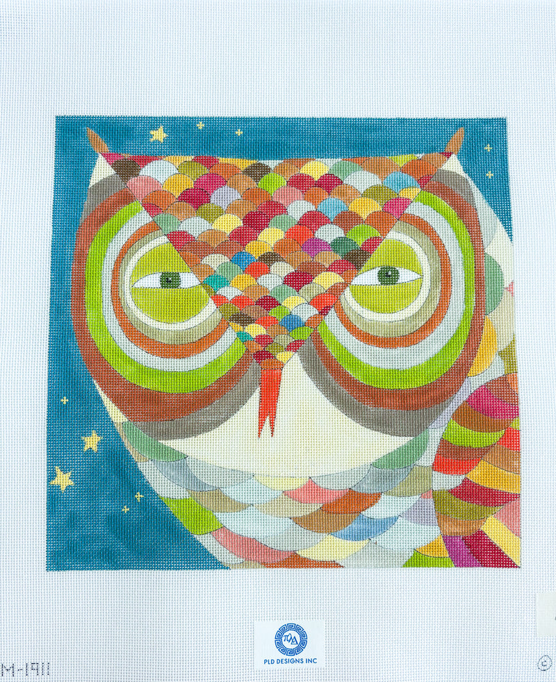 Colorful Owl Lrg
