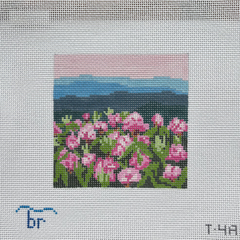 Rhododendron Mtn. (13m square)