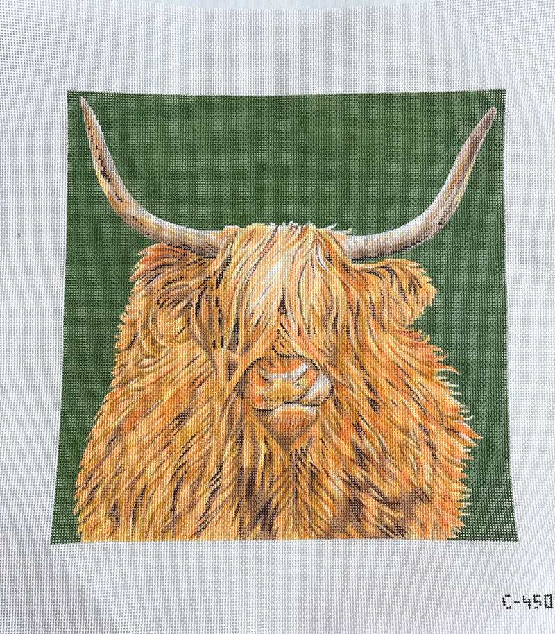 Scottish Highland Cow