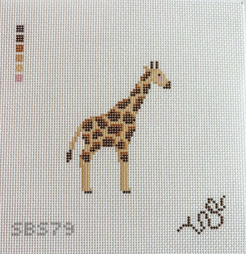 Baby Giraffe