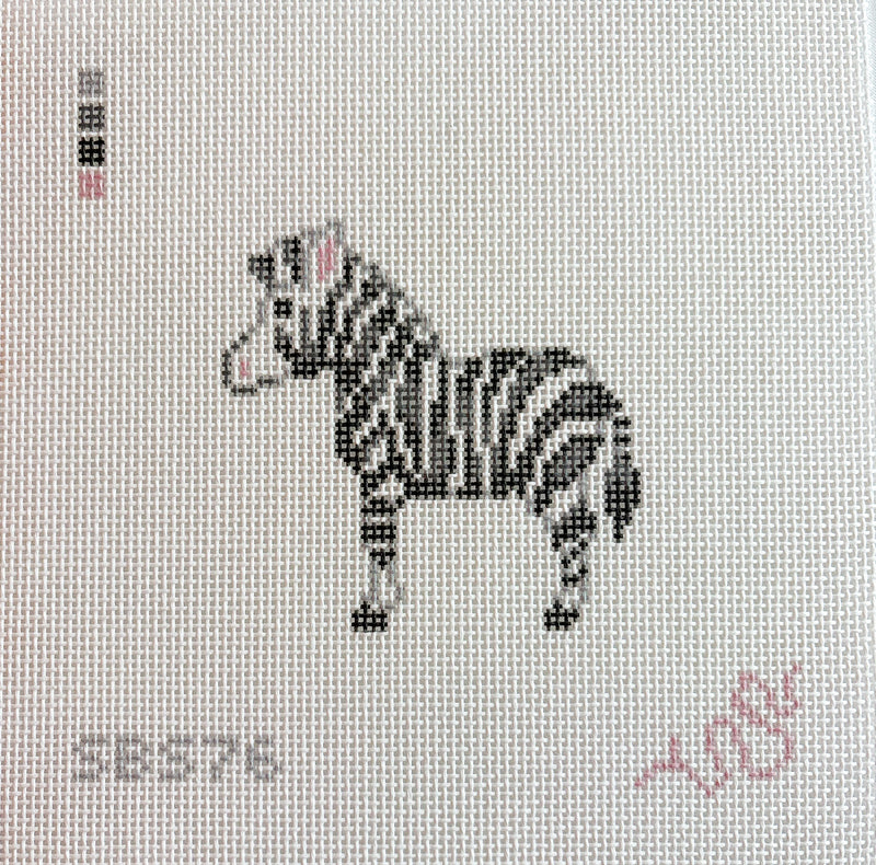 Baby Zebra