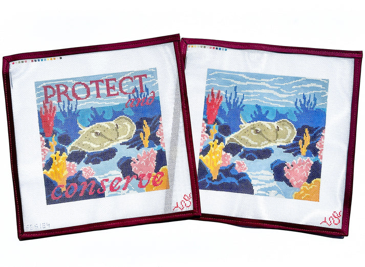 Stingray Protect and Conserve