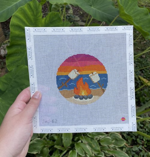 S'mores on the Beach