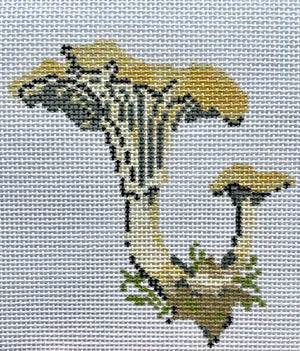Mushroom Series - Chanterelle