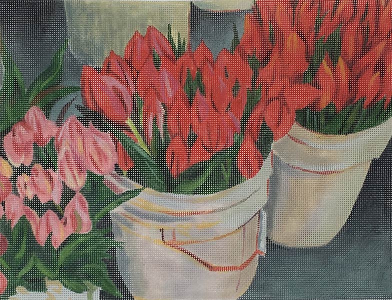 Buckets of Tulips