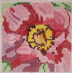 Peony Coaster #1 - Duchess