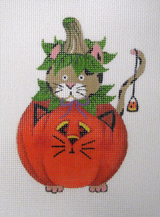 Cat in Pumpkin