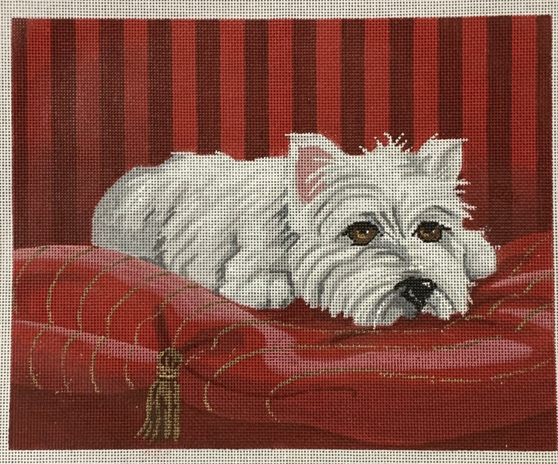 Westie