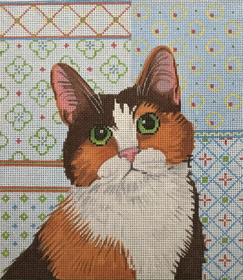 Calico Cat