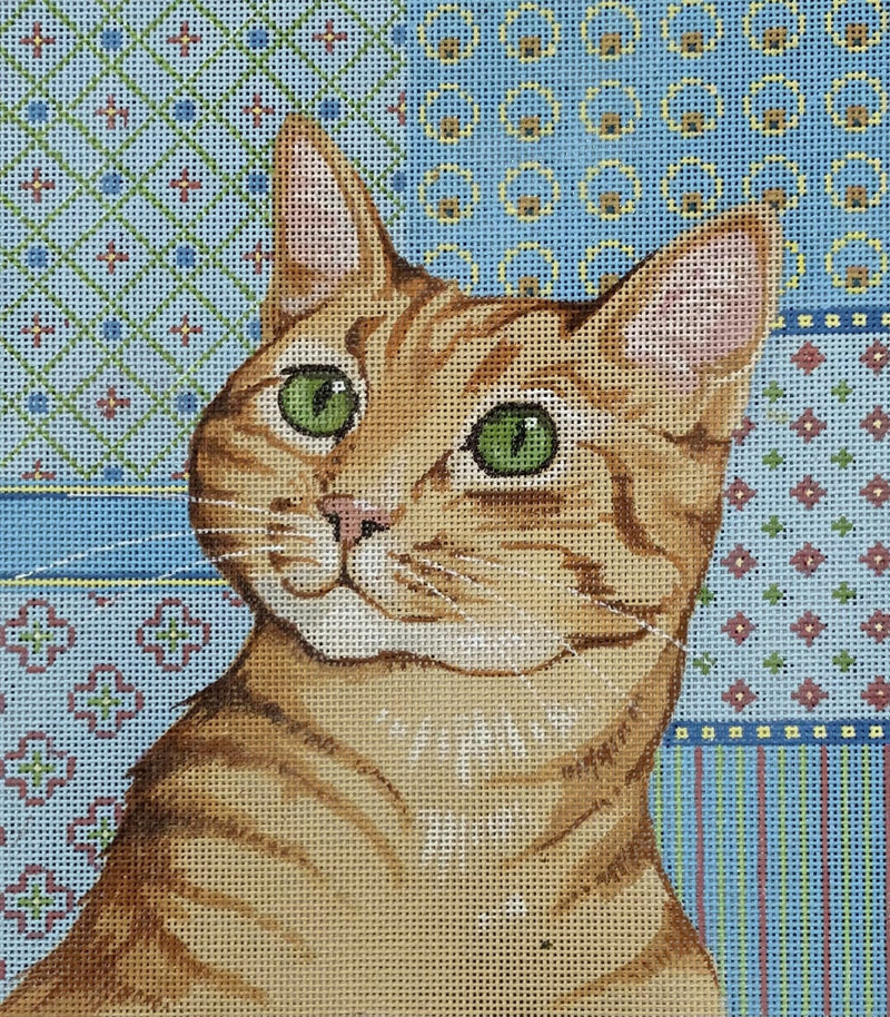Orange Tabby Cat