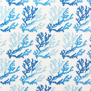 Blue Coral