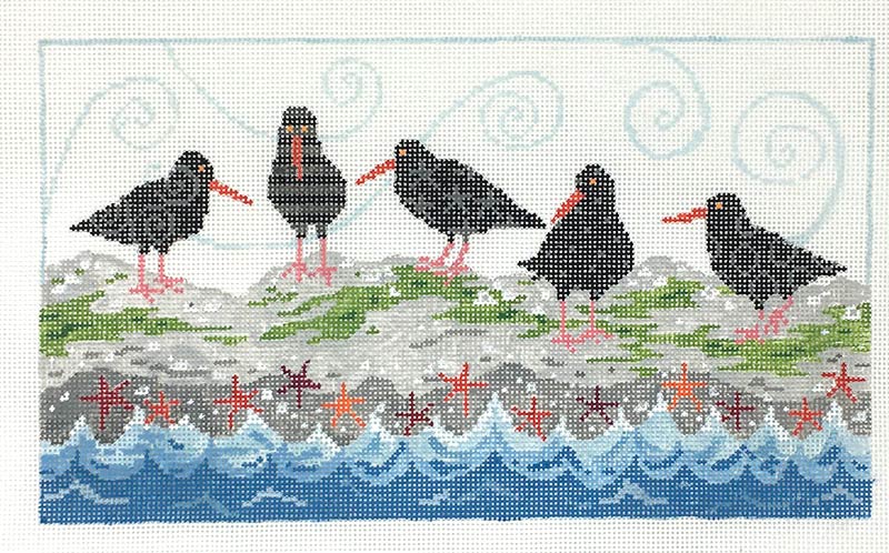Oyster Catchers