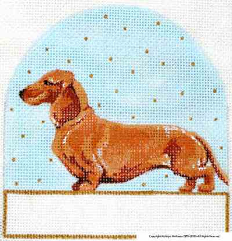 Dachshund