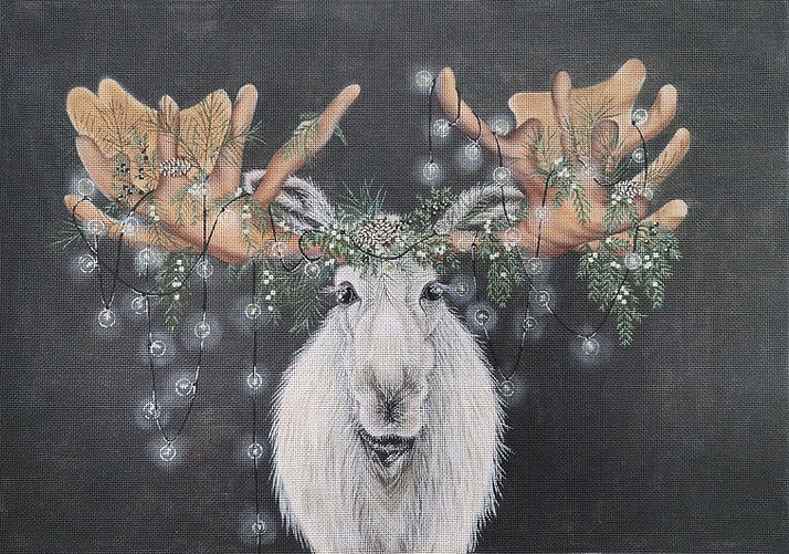 Christmas: Barry Christmoose