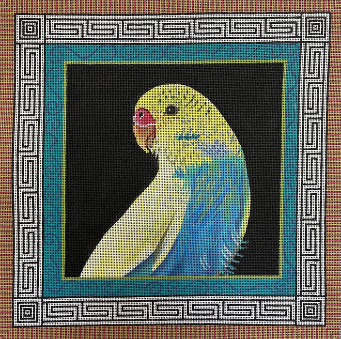 Animals - Parakeet