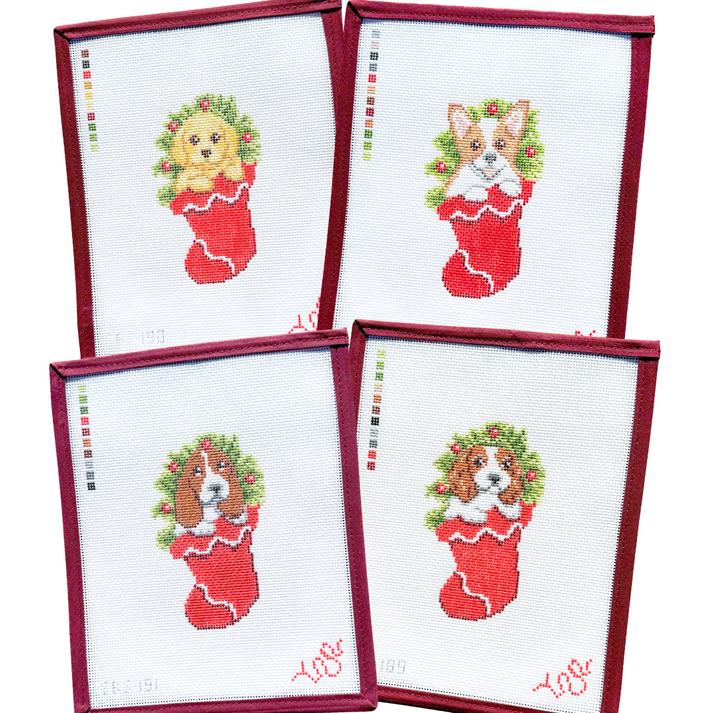 Cavalier in a Stocking