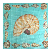 Beige Nautilus Shell