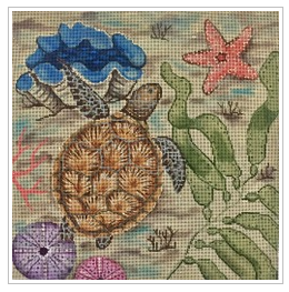 Sea Turtle & Sea Life