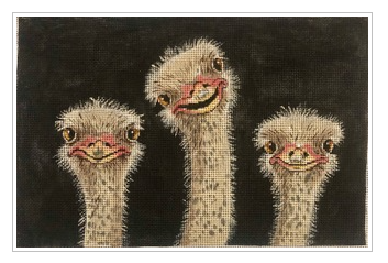 Three Ostriches
