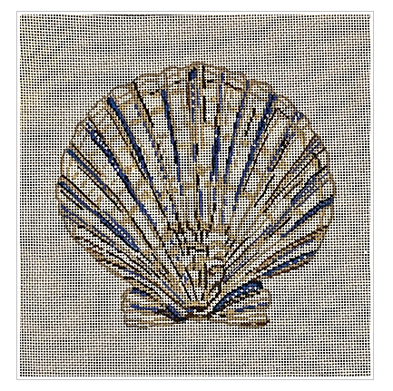 Blue & Tan Scallop Shell