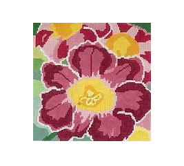 Spring Grape Hyacinth