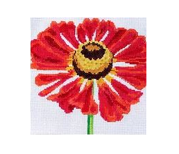 8" Simple Flowers - Pincushion Daisy