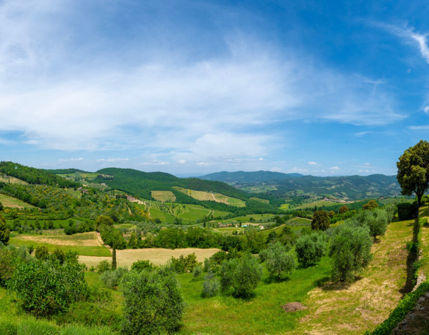 The needlepoint Trip of a lifetime