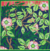 Wms Sweetbriar Eyeglasses Case