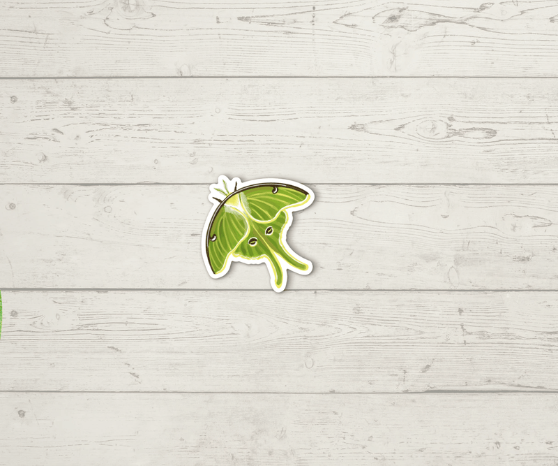 Luna Moth Needleminder