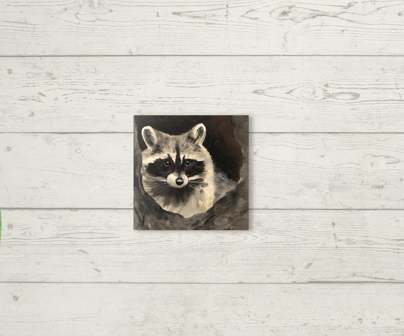 Raccoon Needleminder