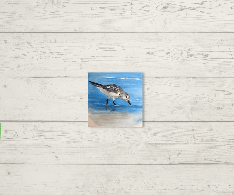 Sandpiper Needleminder