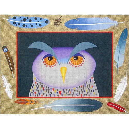 Owl Portrait (13m)