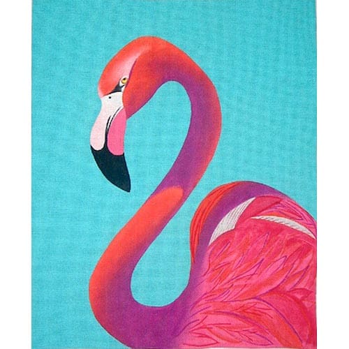 Flamingo Portrait (13m)