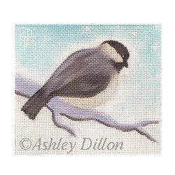 Chickadee Looking Down