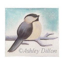 Chickadee Looking Up