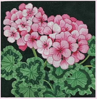Pink Geraniums - 13 Mesh W/ White Background